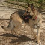 Jerry Lee at 2 years old