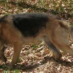 Jerry Lee at 2 years old