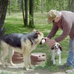 ANDY a Libby and Jerry Lee puppy