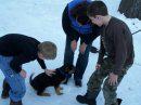 Mia and her family
Libby and Jerry Lee puppy