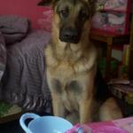 Elmer having tea with his little girl.  What a handsome boy Elmer is.