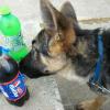 Trigger wanting something to drink so we got him some bottled water out of the vending machine